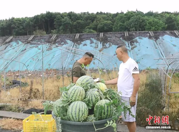 湖南双牌特色产业赋能农户稳定增收