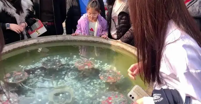 南通动物园第四次捐空许愿池硬币！救助白血病患者