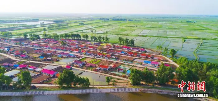 嫩江边上的“拓荒者”：38载接力把“不毛地”变“米粮川”