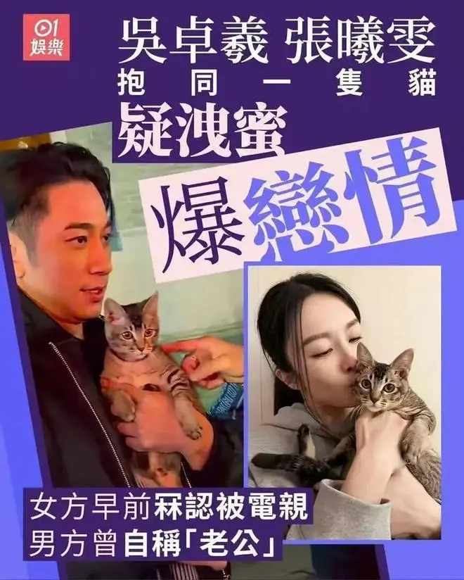 吴卓羲张曦雯疑因一只猫曝恋情?港媒脑洞太大,这瓜保熟吗?