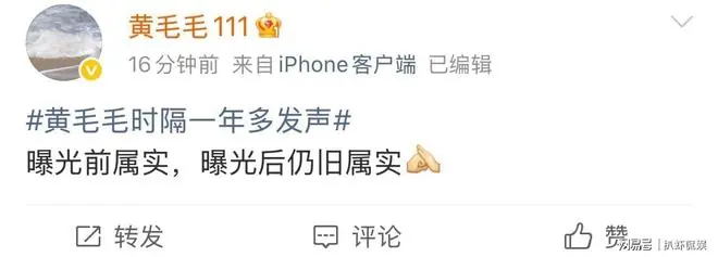 黄毛毛时隔一年多再发声:曝光前属实,曝光后仍旧属实