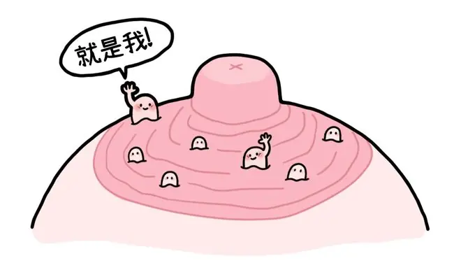 乳晕上的小颗粒,到底是啥啊?