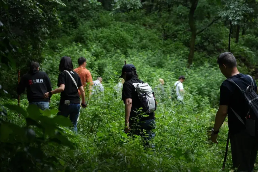 终南山研学图录:行走18处精神地标,寻找中国文化的隐逸和风骨