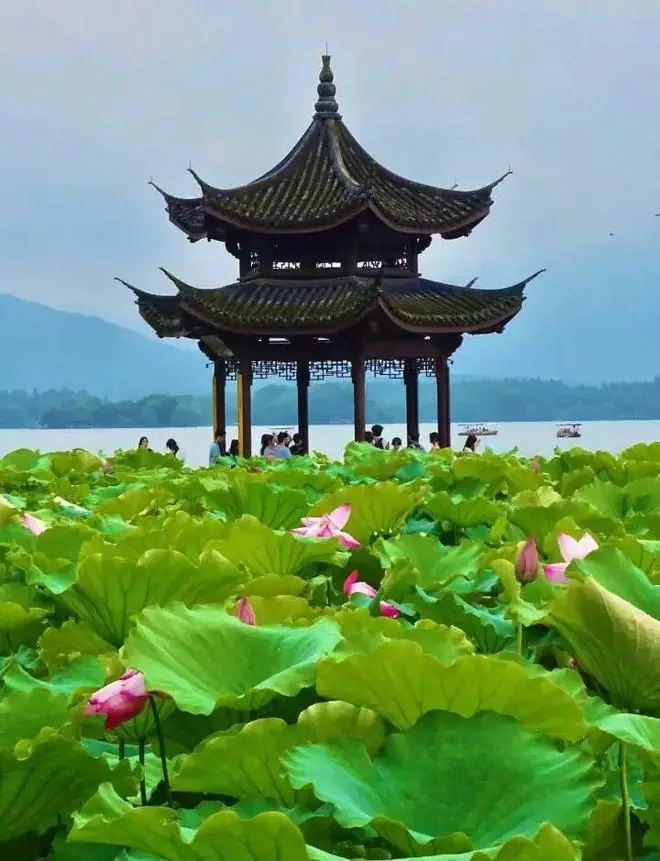 明起连续4天，杭州大雨到暴雨，局部大暴雨