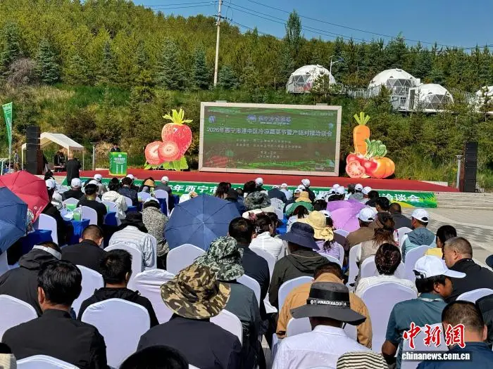 青海湟中:助力冷凉蔬菜外销 拓宽民众致富路