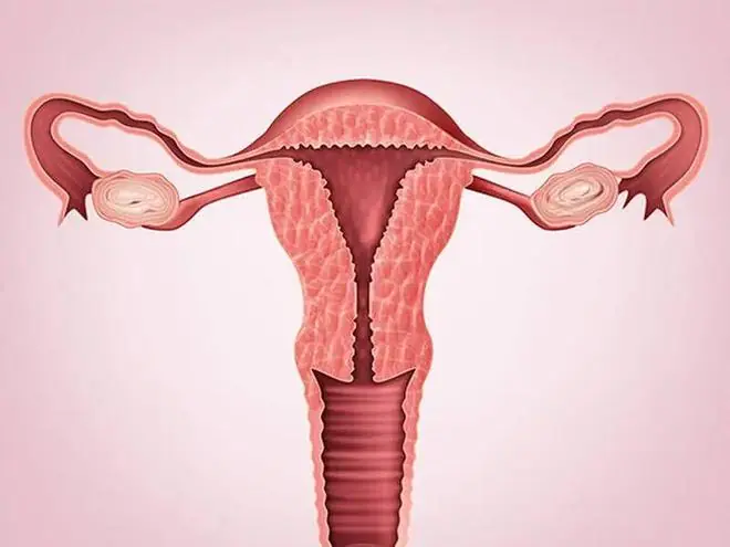 绝经后性生活怎么办?频率多少合适?