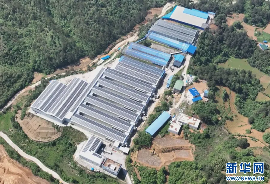 广州黔南东西部协作兴产业 县域经济发展添动能