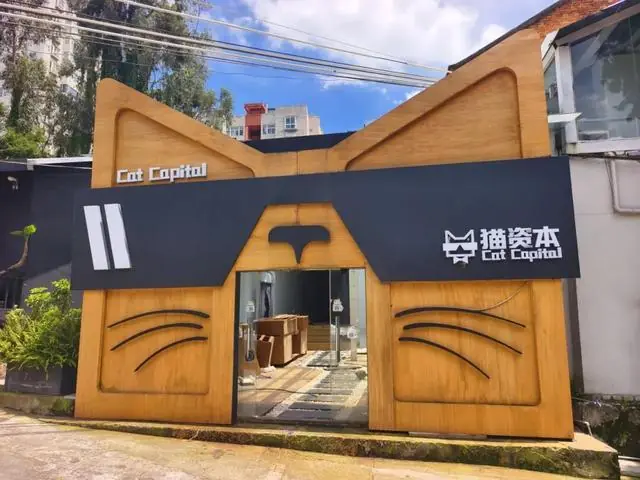 店铺人去楼空，法定代表人失联！昆明市民花2万元买猫投资未获分文收益，小猫也不知所终；多方回应：属民事合同纠纷，建议司法诉讼解决