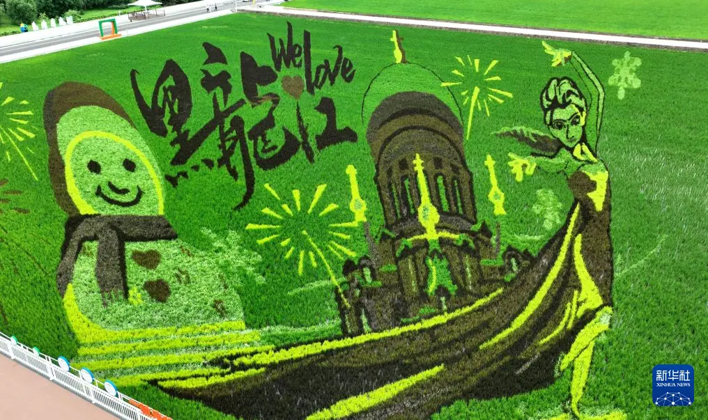 “北大仓”稻田画:黑土地上绘“丰”景
