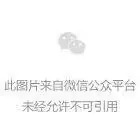 折叠屏的二次进化:AI技术浪潮下,vivo如何回应“人”的时代命题