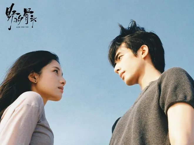 《野狗骨头》定档,宋威龙张婧仪主演,非甜宠偶像剧,很有吸引力