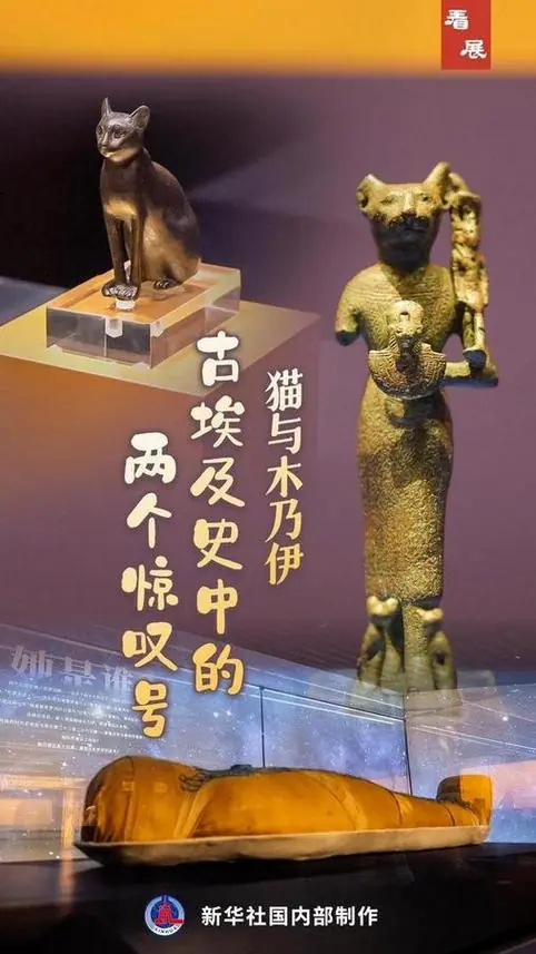 看展丨猫与木乃伊:古埃及史中的两个惊叹号