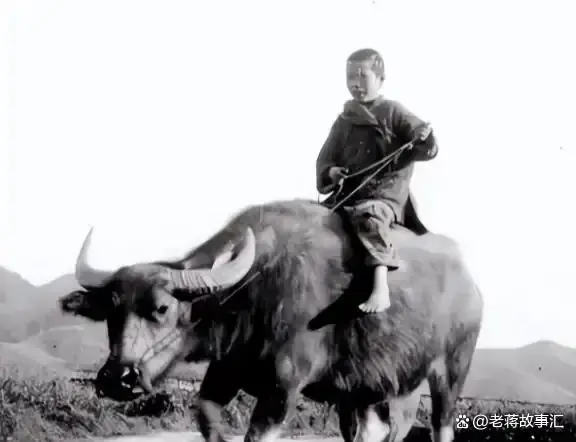 1956年放牛娃无意间一脚踢开地下铁门,露出的东西让专家惊呼:快撤