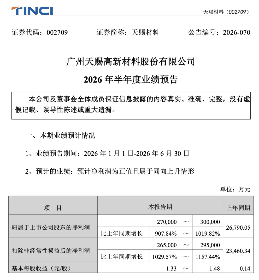 电解液龙头,上半年净利最高预增超10倍
