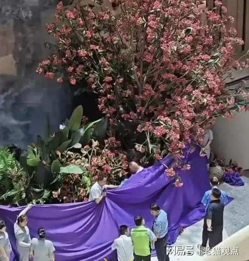 突发!西安62岁亿万富豪商场坠楼身亡 千万罚单遗书内容曝光