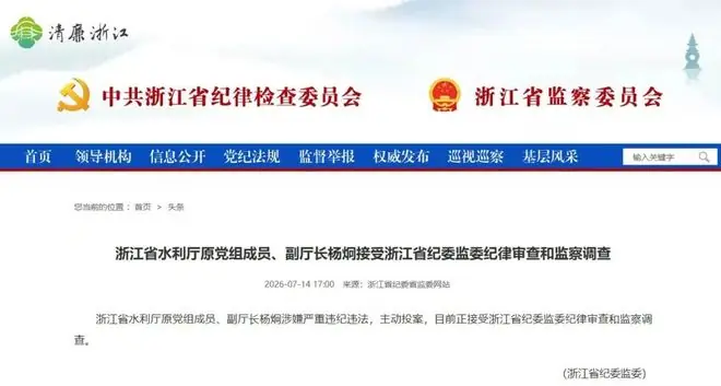 浙江省水利厅原副厅长杨炯,主动投案