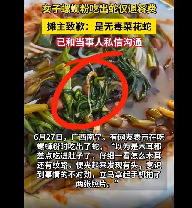 女子吃螺蛳粉吃出一条蛇,事发后工作人员直接端走螺蛳粉倒掉,涉事摊主发文致歉