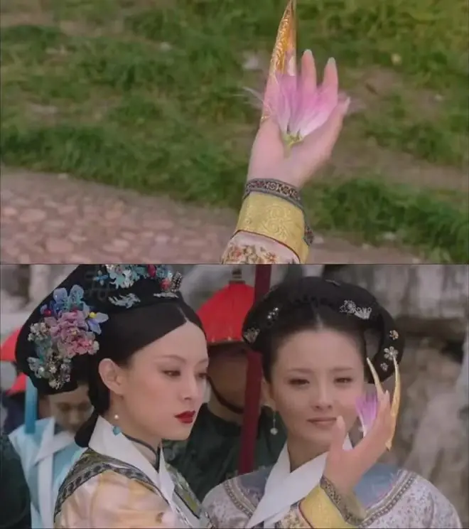 《甄嬛传》同款!沈阳这棵树火了!