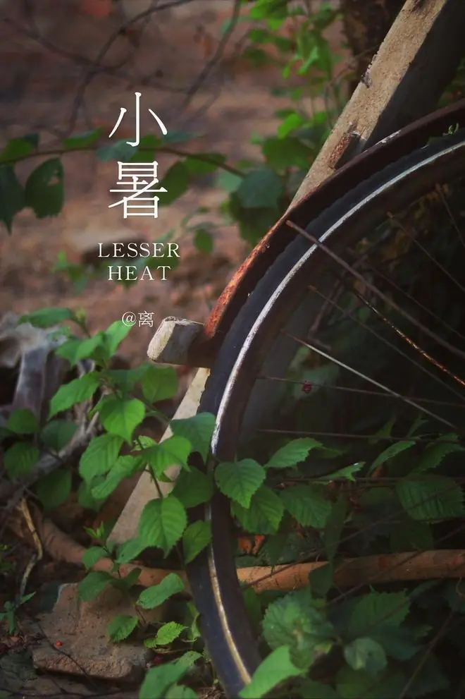 有钱没钱,小暑过后多吃这菜!5种做法简单快手,适配整个夏天
