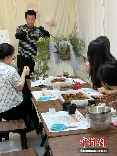 台青陆世玮打造“手作森林” 用小小植物传递生活美好