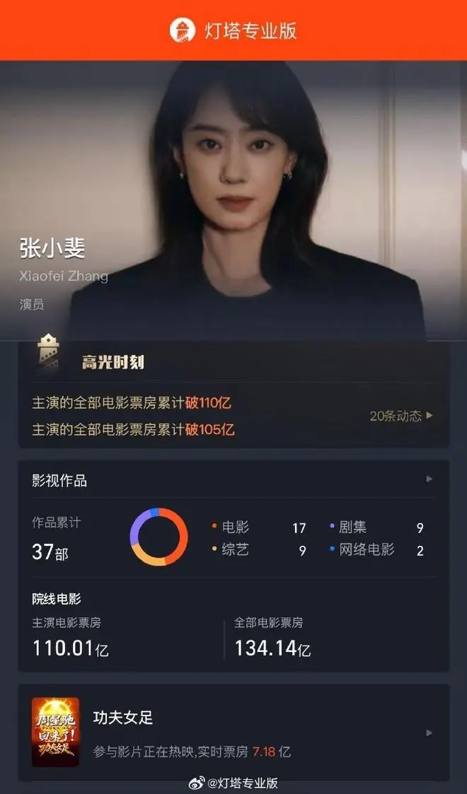 张小斐主演电影票房破110亿