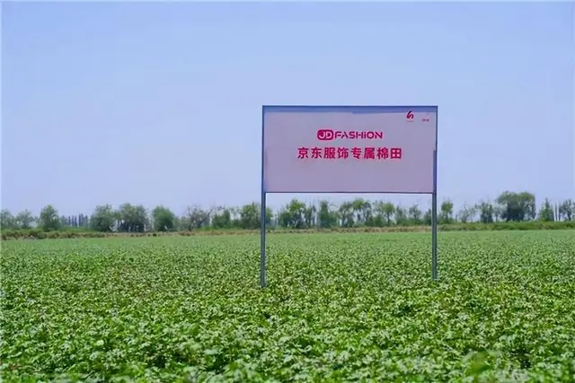 京东服饰启动JD FASHION溯源计划 首个棉花合作基地落地新疆阿克苏