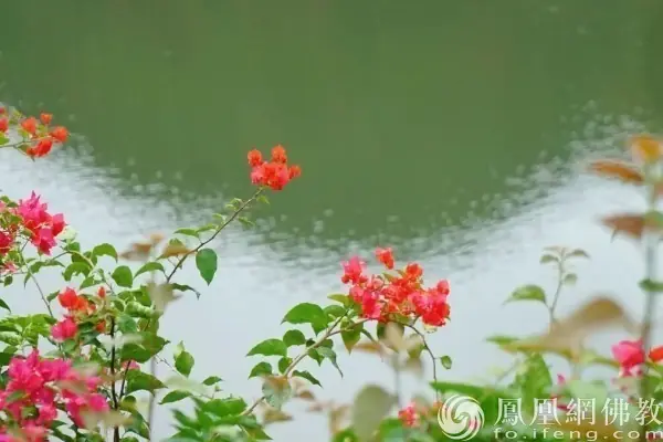 一日禅:小满