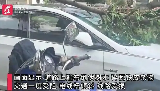 龙卷风过后的居民区,屋顶缺失严重