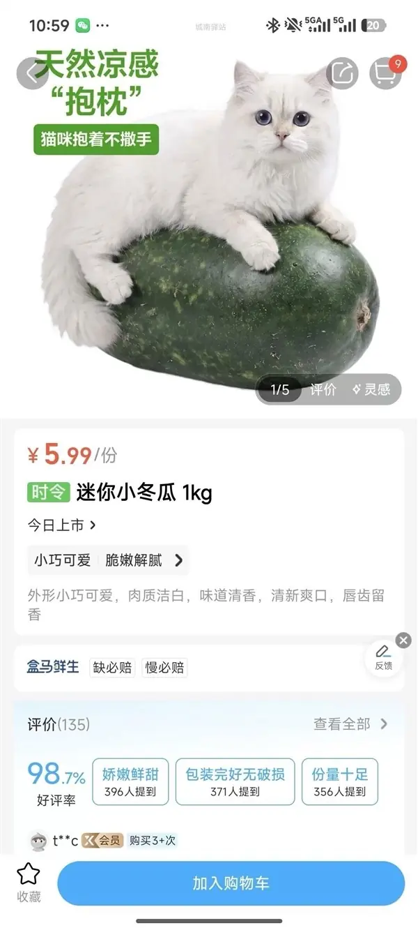 迷你冬瓜宠物凉枕宣传图比例失真引争议,品牌紧急调整视觉呈现