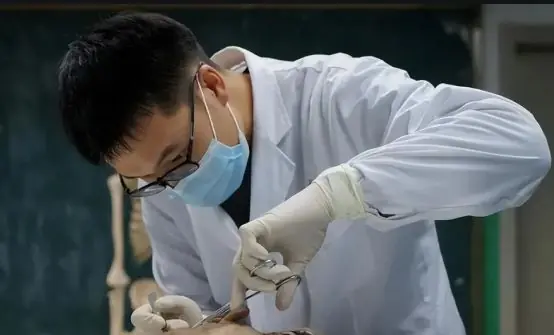 教授为学生上解剖课,察觉尸体标本模样不对劲,下秒赶紧报警求救
