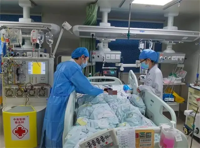 被AI识别为“无毒”后,一家三口吃下剧毒蘑菇,9岁男孩生死抢救8天