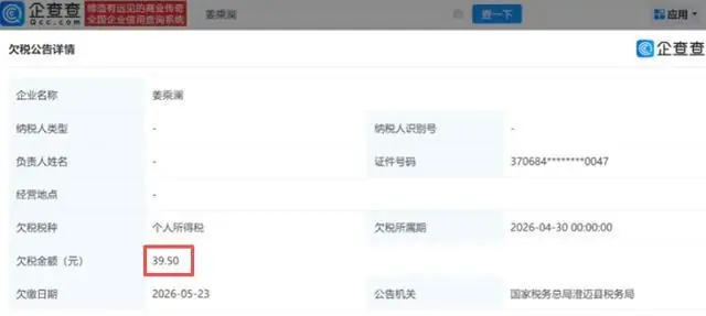 欠税39.5元!美妆博主程十安停更三年回归涨粉
