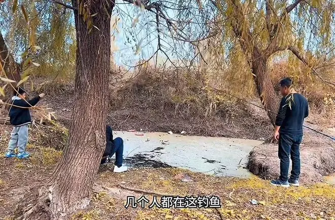 郭威肠子悔青,没钱还房贷工作也丢,田静给许妈示好:我们是直系