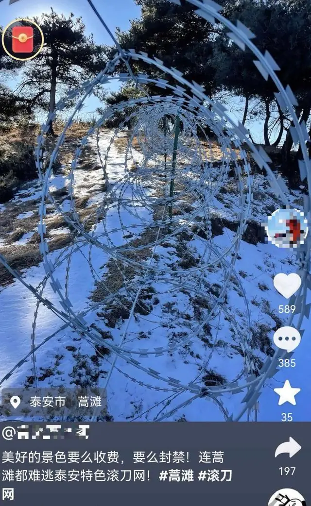 大风追踪|泰山景区回应建135公里刀片隔离网:设在非开放区,目的是确保防火、生态、和“驴友”的安全