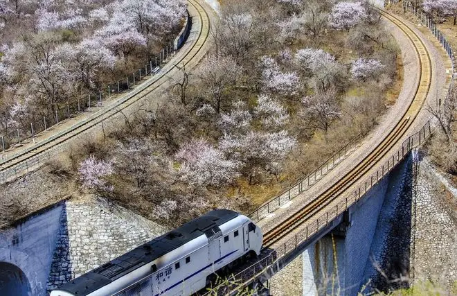 上海铁路局2026录用4473人,研究生大幅增加,南铁院1066人